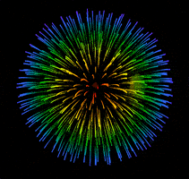 每日GIF(2022-01-01)的gif-Fireworks GIF
