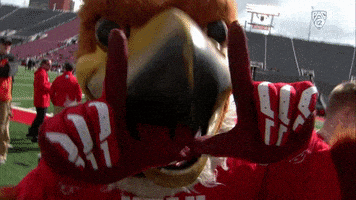 每日GIF(2022-01-02)的gif-Utah Football GIF by Pac12Network