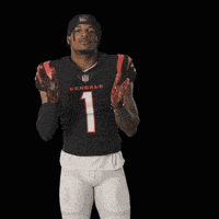 每日GIF(2022-01-03)的gif-Nfl Players Football GIF by Bengals