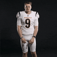 每日GIF(2022-01-03)的gif-Cincinnati Bengals Football GIF by Bengals