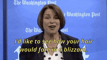 每日GIF(2022-01-04)的gif-2020 Election Snow GIF by Election 2020