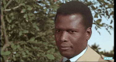 每日GIF(2022-01-08)的gif-Sidney Poitier Wink GIF by Turner Classic Movies
