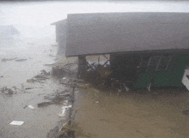 每日GIF(2022-01-16)的gif-tsunami GIF