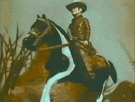 每日GIF(2022-01-17)的gif-Vintage 60S GIF