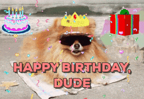 每日GIF(2022-01-17)的gif-Happy Birthday Dog GIF