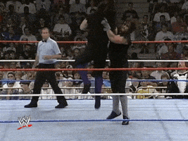 每日GIF(2022-01-23)的gif-The Undertaker Sport GIF by WWE