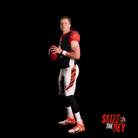 每日GIF(2022-01-23)的gif-Cincinnati Bengals Football GIF by Bengals