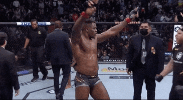 每日GIF(2022-01-24)的gif-Francis Ngannou Sport GIF by UFC