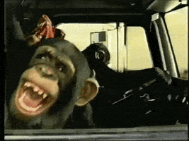 每日GIF(2022-01-25)的gif-Cracking Up Lol GIF