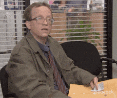 每日GIF(2022-01-28)的gif-Season 9 No GIF by The Office