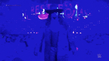 每日GIF(2022-01-30)的gif-The Undertaker Sport GIF by WWE