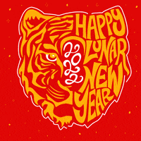 每日GIF(2022-02-01)的gif-Excited Happy New Year GIF by Hello All