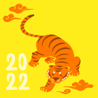 每日GIF(2022-02-02)的gif-Excited New Year GIF by Hello All