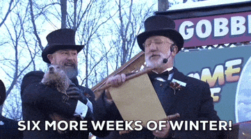 每日GIF(2022-02-03)的gif-Groundhog Day GIF by GIPHY News