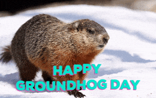 每日GIF(2022-02-03)的gif-Groundhog Day Holiday GIF by Nebraska Humane Society
