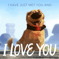 每日GIF(2022-02-03)的gif-I Love You Dogs GIF by Disney