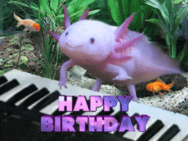 每日GIF(2022-02-05)的gif-Happy Birthday Bday GIF by MOODMAN