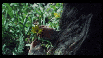 每日GIF(2022-02-06)的gif-Nobodys Home Flowers GIF by Mallrat