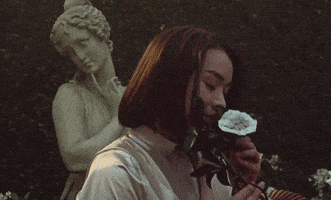 每日GIF(2022-02-08)的gif-Flower Smell GIF by Mitski