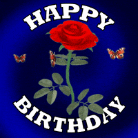 每日GIF(2022-02-12)的gif-Wishing You A Happy Birthday GIF