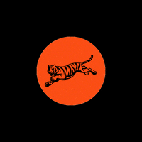 每日GIF(2022-02-14)的gif-Cincinnati Bengals Football GIF by Bengals