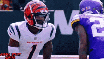 每日GIF(2022-02-14)的gif-Chase Bengals GIF by The Undroppables