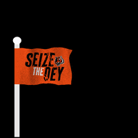 每日GIF(2022-02-14)的gif-Cincinnati Bengals Football GIF by Bengals