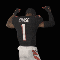 每日GIF(2022-02-14)的gif-Cincinnati Bengals Football GIF by Bengals