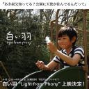 白い羽 “Light from Phony”