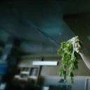 张绍荣