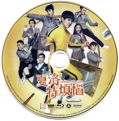 夏洛特烦恼的海报-其他海报