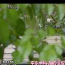 李在源