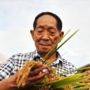袁隆平