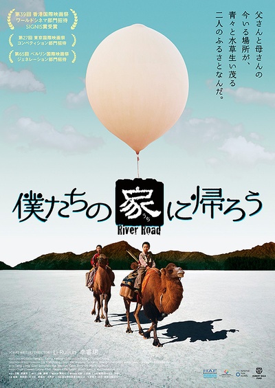 家在水草丰茂的地方的海报-正式海报 日本