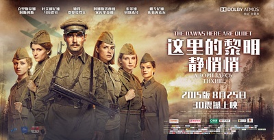 这里的黎明静悄悄的海报-正式海报 中国大陆