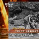 王崇秋