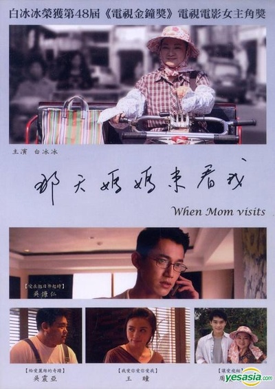 那天妈妈来看我的海报-正式海报