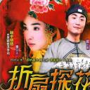 折扇探花