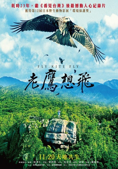老鹰想飞的海报-正式海报 中国台湾