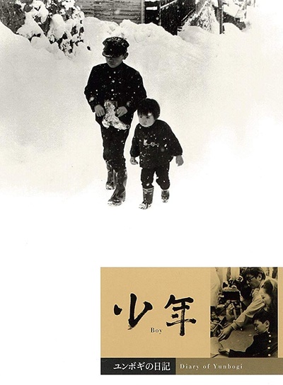 少年的海报-其他海报