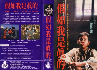假如我是真的的海报-其他海报