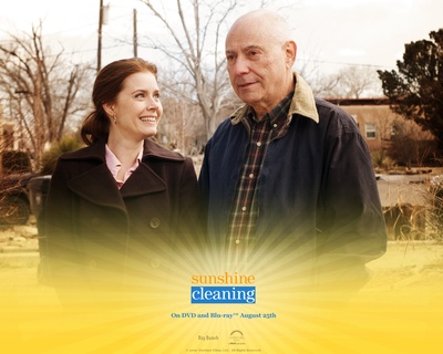 阳光清洗的海报-预告海报 美国