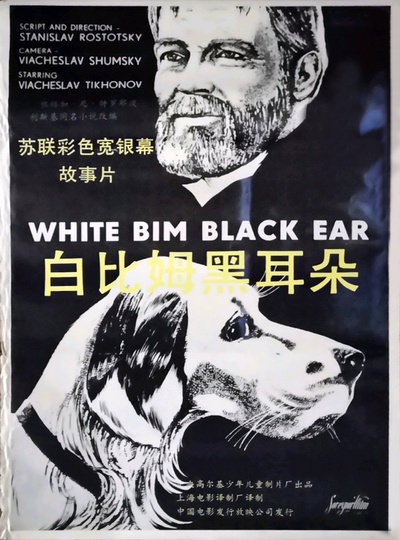 白比姆黑耳朵的海报-正式海报 中国大陆