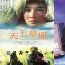 宁才