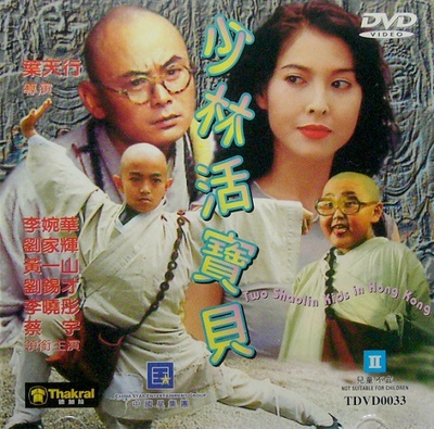 少林活宝贝的海报-正式海报