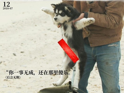 后会无期的海报