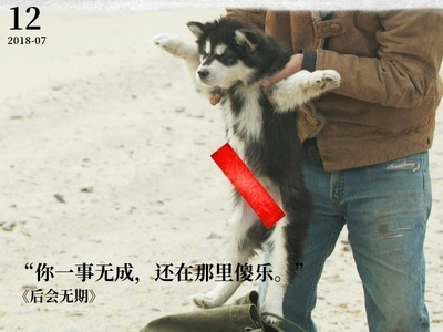 后会无期的海报