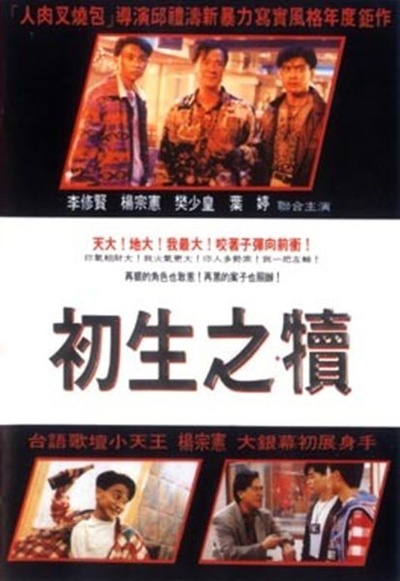 初生之犊的海报-正式海报