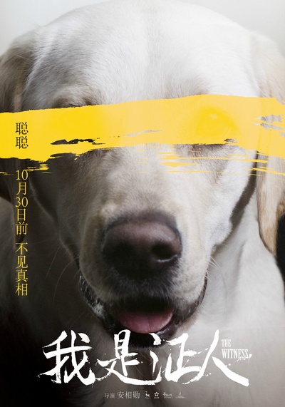 我是证人的海报-角色海报 中国大陆