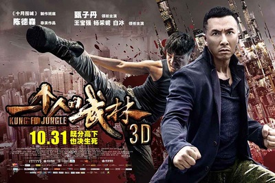 一个人的武林的海报-正式海报 中国大陆